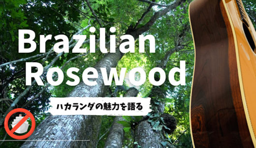 【憧れのギター木材 ハカランダ】ブラジリアンローズウッドの魅力について解説
