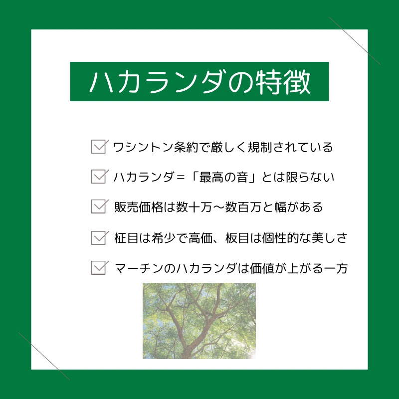 ハカランダの特徴